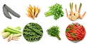 Vegetable Herbs
